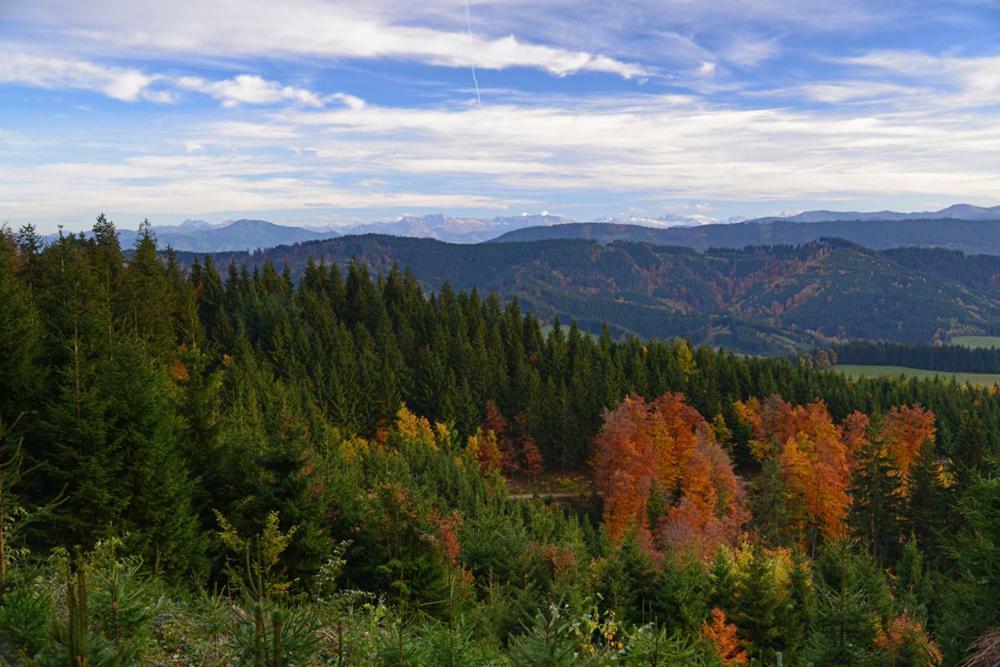 Allgaeu Haus Isny im Allgäu Εξωτερικό φωτογραφία